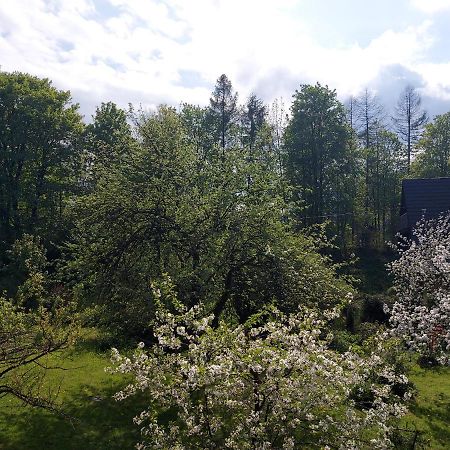 Apartament Bolek I Apartament Lolek Zakopane Dış mekan fotoğraf
