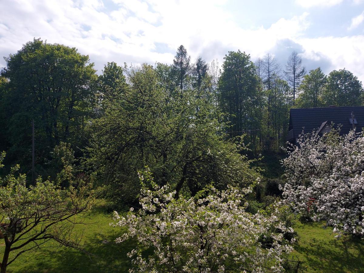 Apartament Bolek I Apartament Lolek Zakopane Dış mekan fotoğraf