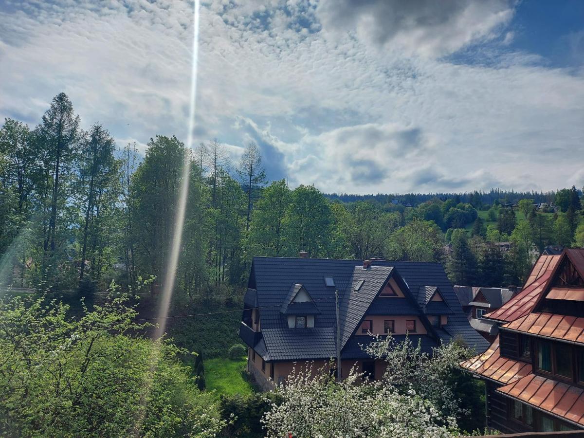 Apartament Bolek I Apartament Lolek Zakopane Dış mekan fotoğraf